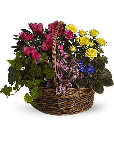 Same Day Sympathy Flowers Delivery Near Me. Make An Order & Pay Online